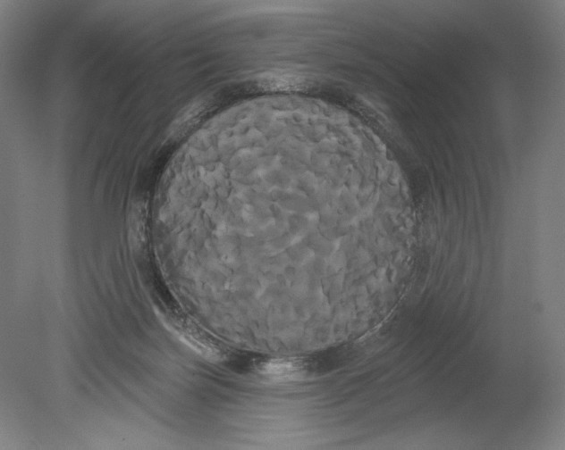 X0000080670171200701051017