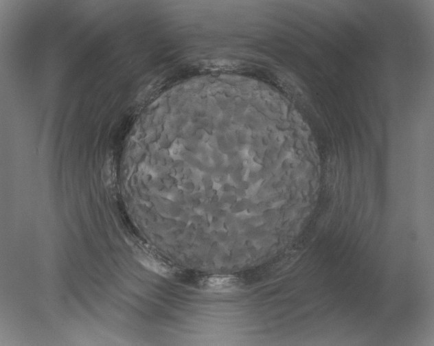 X0000080670173200701051017