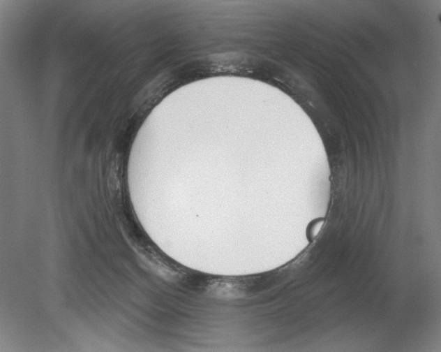 X0000080670174200701051017