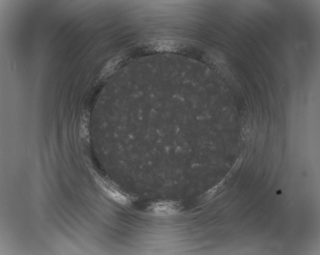 X0000080670175200701051017