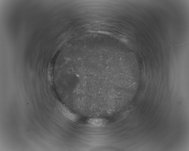 X0000080670181200701051018