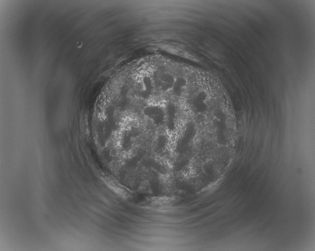 X0000080670182200701051018