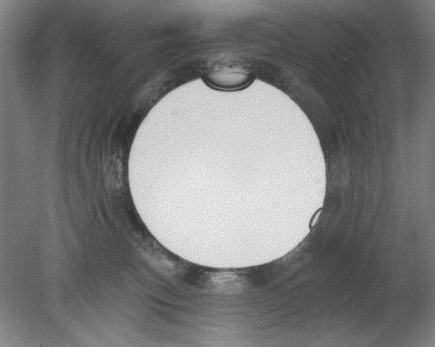 X0000080670183200701051018