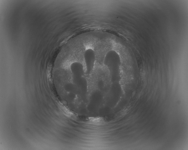 X0000080670185200701051018