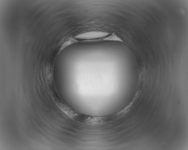 X0000080670186200701051018