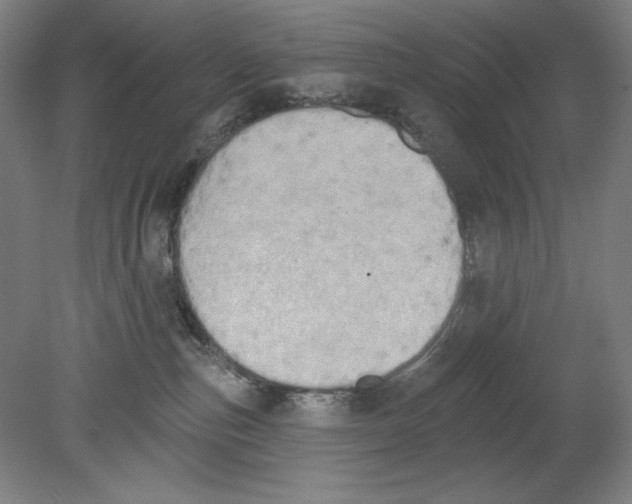 X0000080670187200701051018