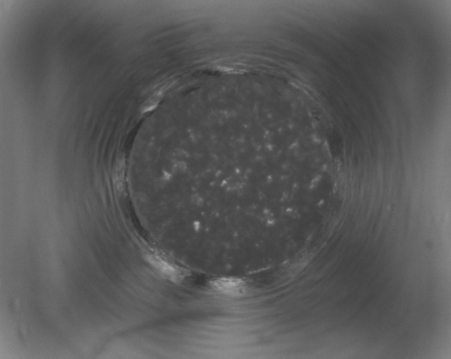 X0000080670189200701051018