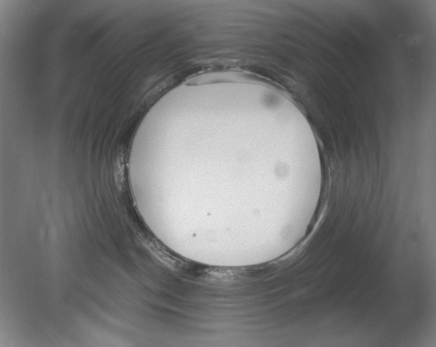 X0000080670190200701051018