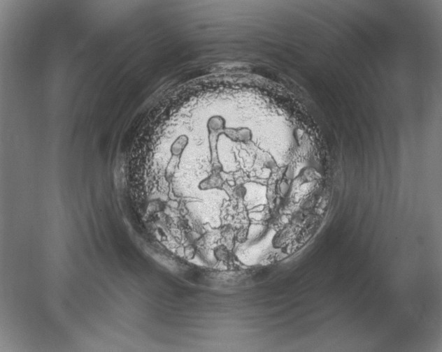 X0000080670191200701051018