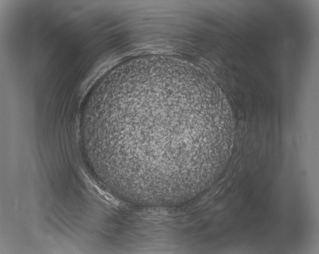 X0000080670194200701051017