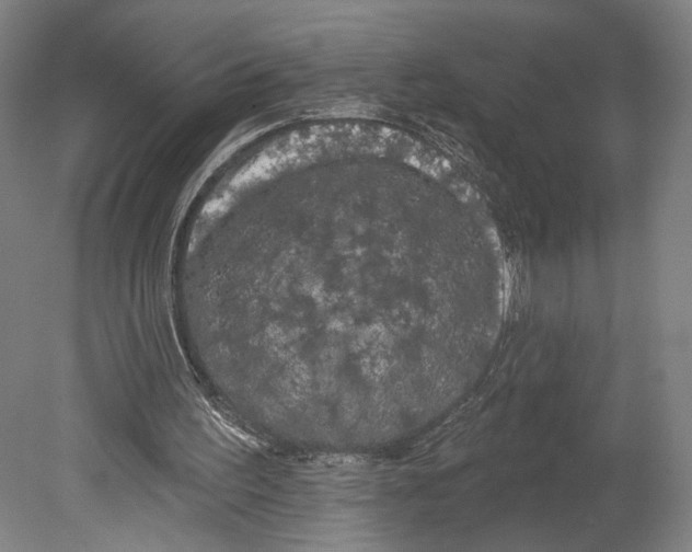 X0000080670195200701051017