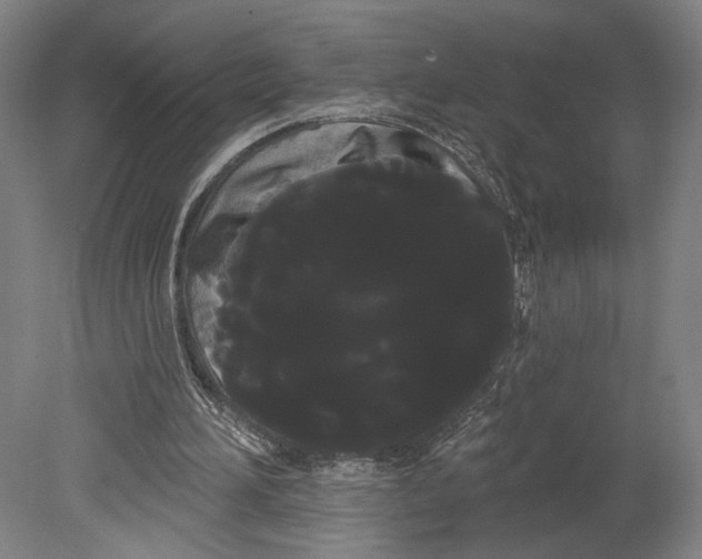 X0000080670196200701051017