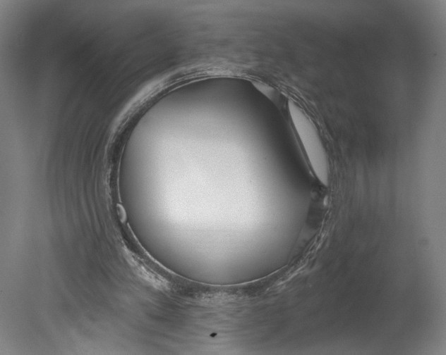 X0000080670197200701051017