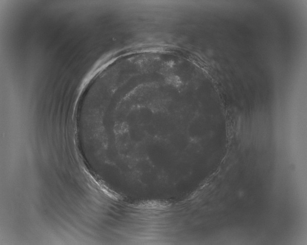 X0000080670198200701051017