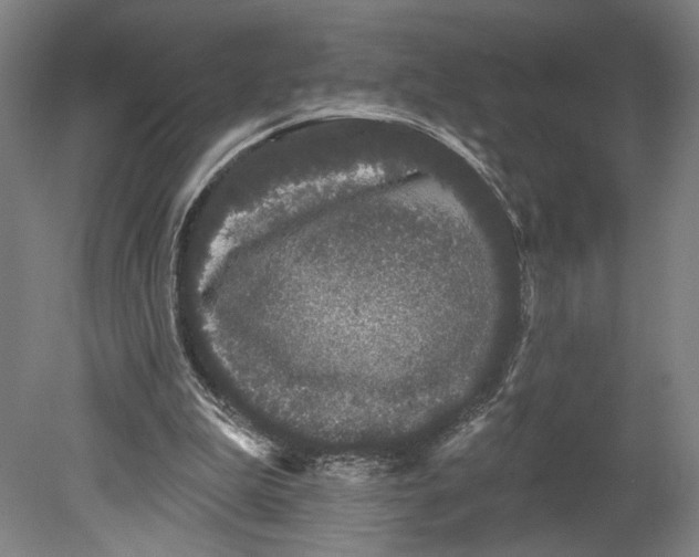 X0000080670199200701051017