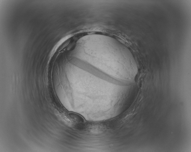 X0000080670200200701051017