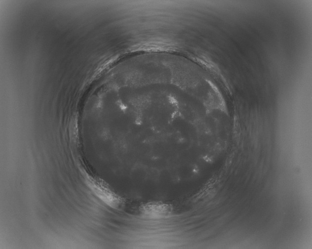 X0000080670202200701051017