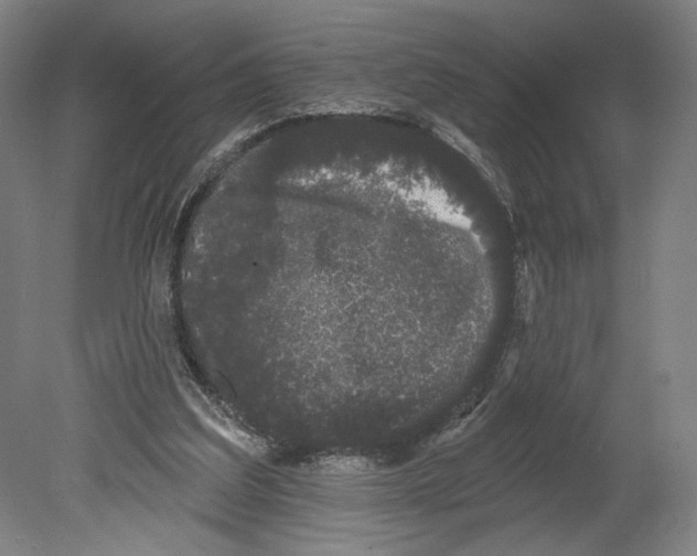 X0000080670203200701051017