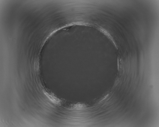 X0000080670204200701051017