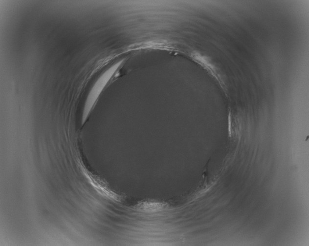 X0000080670205200701051017