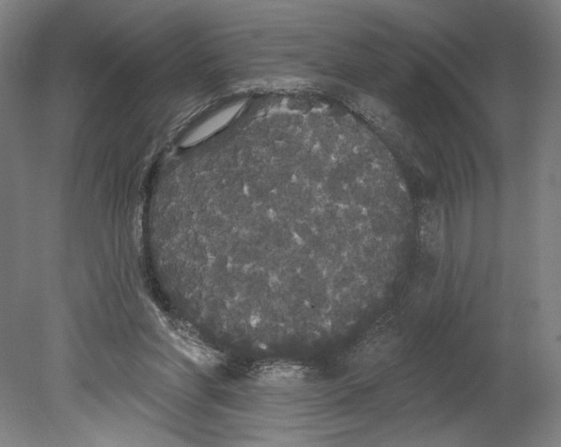 X0000080670206200701051017