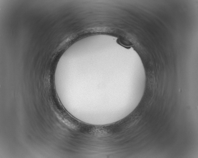 X0000080670207200701051017