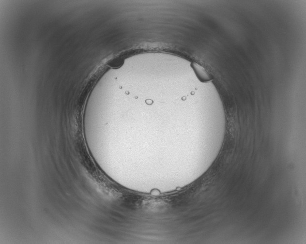 X0000080670208200701051017