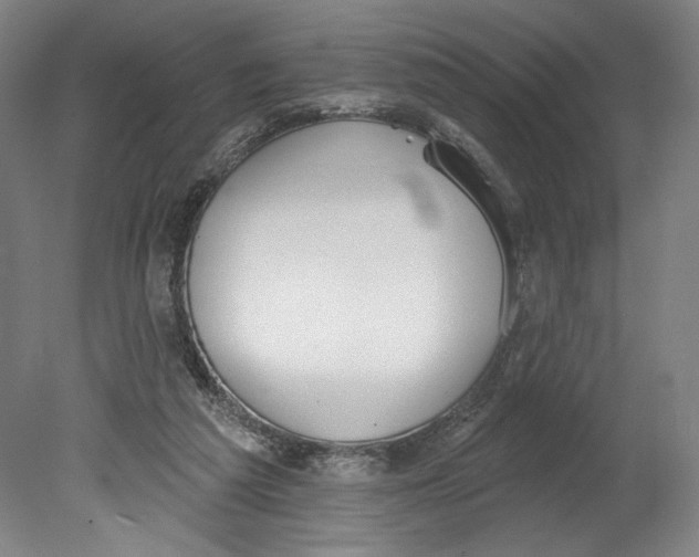 X0000080670209200701051017