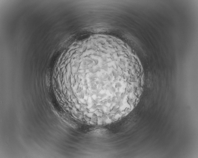 X0000080670210200701051017