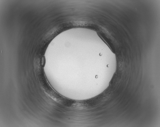 X0000080670211200701051017