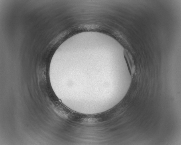 X0000080670212200701051017