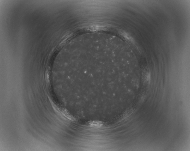 X0000080670214200701051017