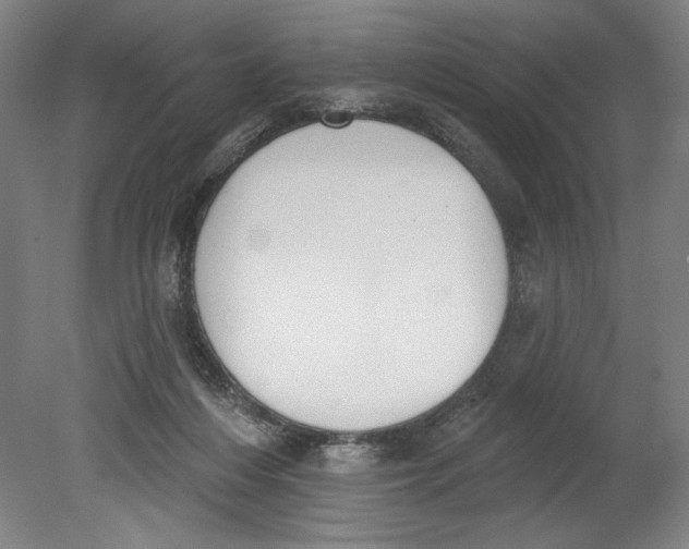 X0000080670216200701051017