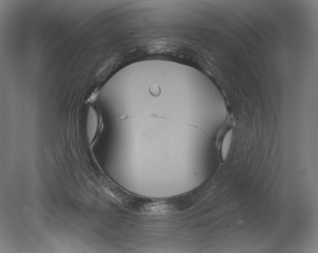 X0000080670219200701051017