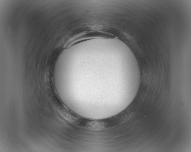 X0000080670221200701051017