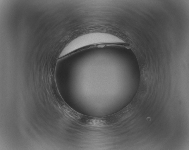 X0000080670223200701051016