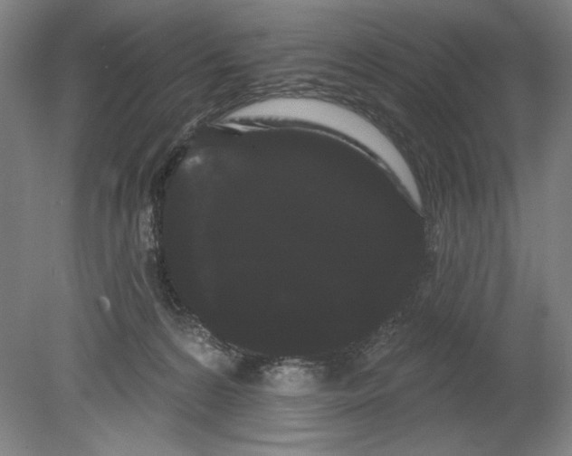 X0000080670224200701051016