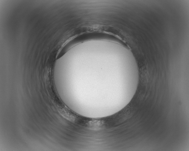 X0000080670225200701051016