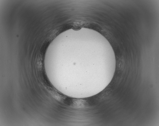 X0000080670226200701051016