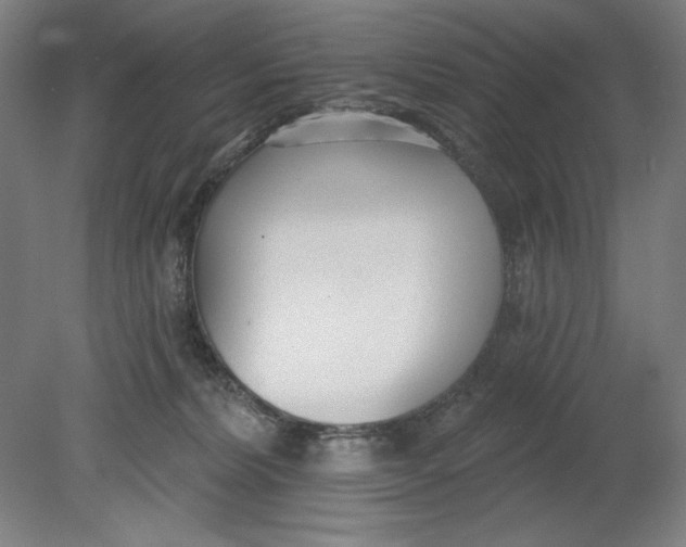 X0000080670228200701051016