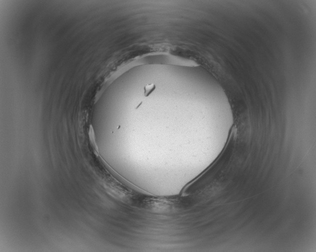 X0000080670229200701051016