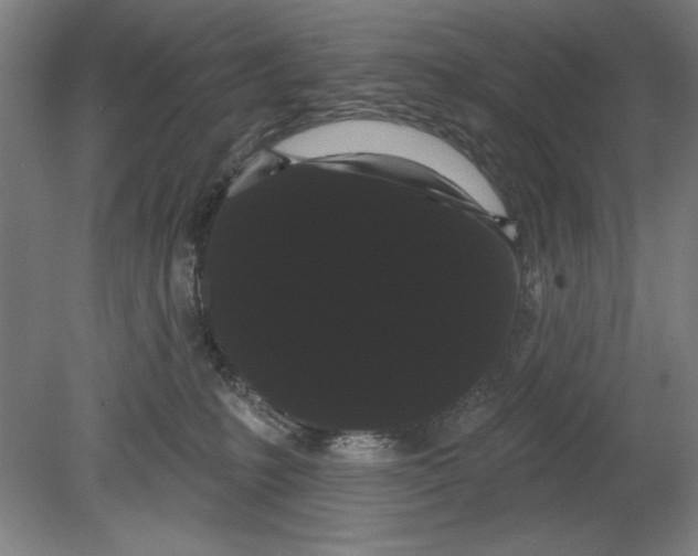 X0000080670231200701051016