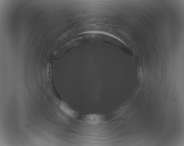 X0000080670233200701051016