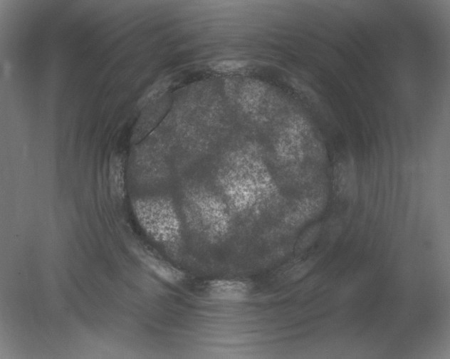 X0000080670234200701051016