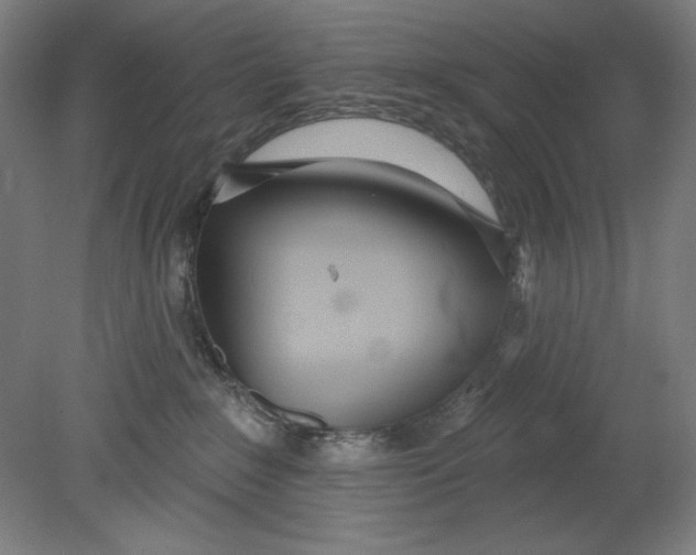 X0000080670235200701051016