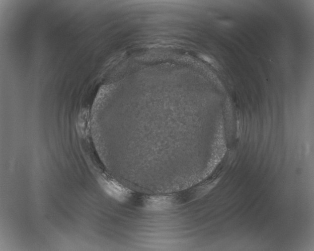 X0000080670237200701051016