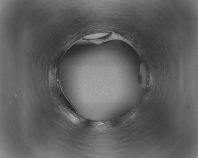 X0000080670239200701051016