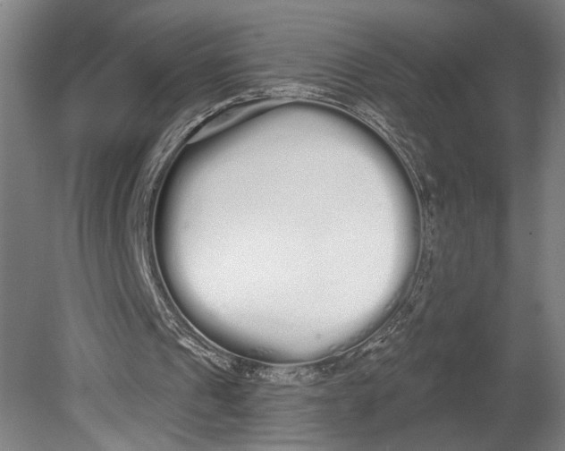 X0000080670241200701051015