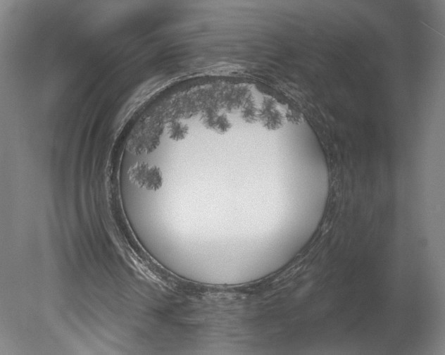 X0000080670242200701051015