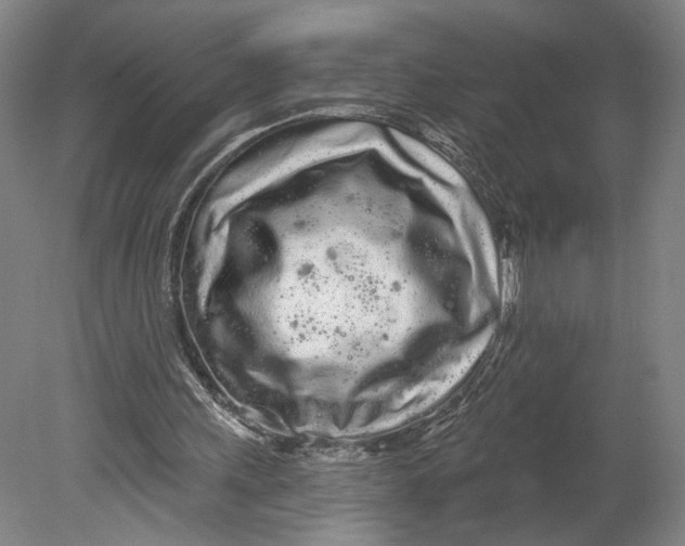 X0000080670243200701051015